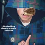 John Klein - @roa_kleinn - Instagram