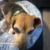 John Kleinfelter - @john.kleinfelter - TikTok