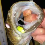 John Klim - @lovetofishforwalleye - Instagram