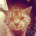 Jon Klingensmith - @pandaz_are_legit - Instagram