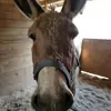 johnklingler845 - @johnklingler845 - TikTok