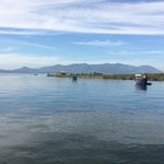 John Knape - @knapejohn - Instagram