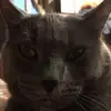 John Knapp - @johnknapp07 - TikTok