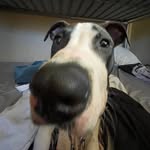 J_Knauer - @johnknauer1 - Instagram