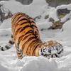 johnknauer563 - @johnknauer563 - TikTok