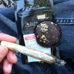 💯🌰🌱🌲 - @johnkneeappleseed - Instagram