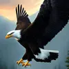 jhon kifly - @jhon.kifly - TikTok