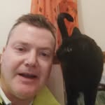 John Knights - @johnnypocketroc - Instagram