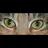 John Knights - @johnknights - TikTok