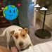 John Knoblock - Facebook