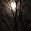 John Knopfel - @john.knopfel - TikTok