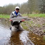 John Kober - @youdogsgit - Instagram