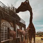 john kobero - @johnkobero_ - Instagram