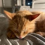 John Koehler - @lukasjohn1407 - Instagram