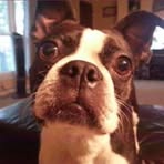 John Koehler - Facebook