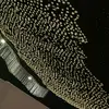 john.koehler - @john.koehler5 - TikTok