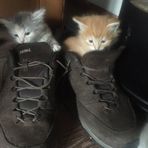 John Kok - Facebook