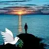 John Kok - @john.kok50 - TikTok