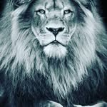 John kok - @john_kok123 - Instagram