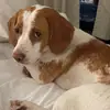 johnkomarov.2 - @johnkomarov.2 - TikTok