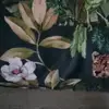 aboeng - @johnkompai - TikTok