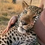 John Kompaoré - @johnkompaore - Instagram