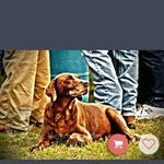 John Koonce - @shoalbandit - Instagram