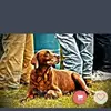 johnkoonce7 - @johnkoonce7 - TikTok