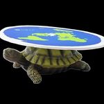 John Koons - @flat_earth_haole - Instagram