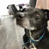 John Kopp - @johnkopp_ - TikTok