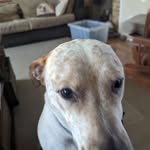 John Koppitch - @koppitchjohn - Instagram
