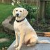 John Korinek - Facebook