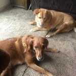 John Koscinski - @koscinski.john - Instagram