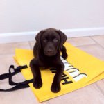 John Kosse - @johnkosse - Instagram