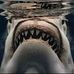 John Koster - Facebook