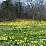 John Koster - @timefordis1 - Instagram