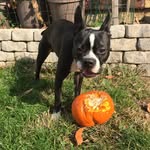 John Kotch - @farleygoodboy - Instagram