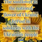 John Koteles - Facebook