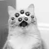 johnkramer841 - @johnkramer841 - TikTok