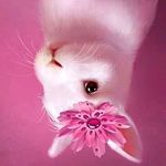 John kreger - @kreger740 - Instagram
