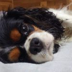 Nancy Kreidler-Johnson - @kreidlerjohnson - Instagram