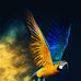 John Krispin - Facebook