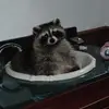 John Krietsch - @john_krietsch - TikTok