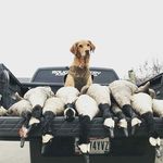 John Kristof - @johnnybaseball20 - Instagram