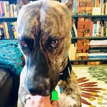 John Kriz - @kriz.john - Instagram