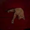 kruljacc - @kruljacc - TikTok