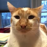 John Kuderik - @johnkuderik127 - Instagram