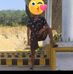 John Kikon - Facebook