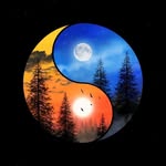 john kush - @johnkushmus - Instagram