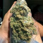 john kush - @robertswesley001 - Instagram